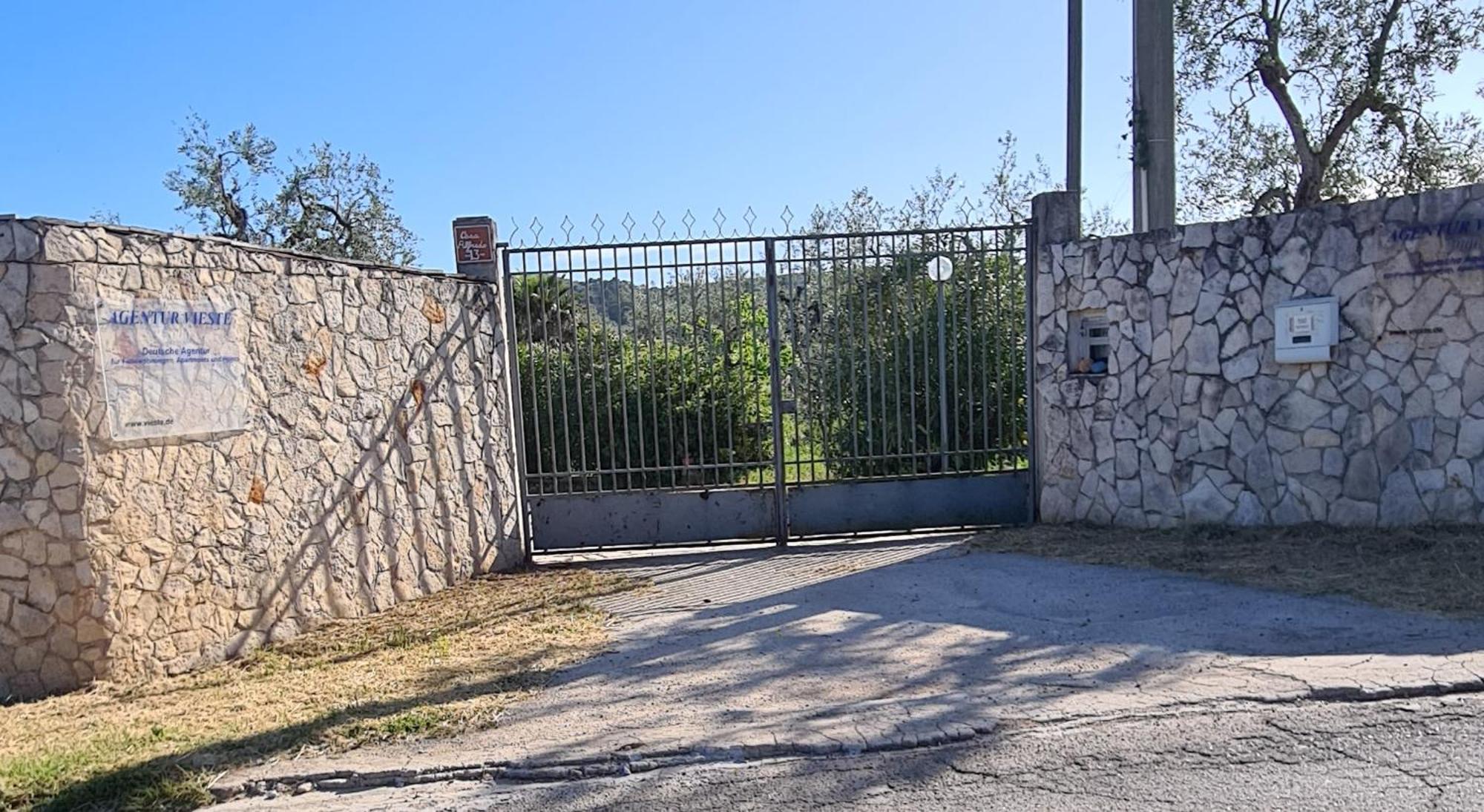 Villa Oleandro Ciccino Vieste Eksteriør billede